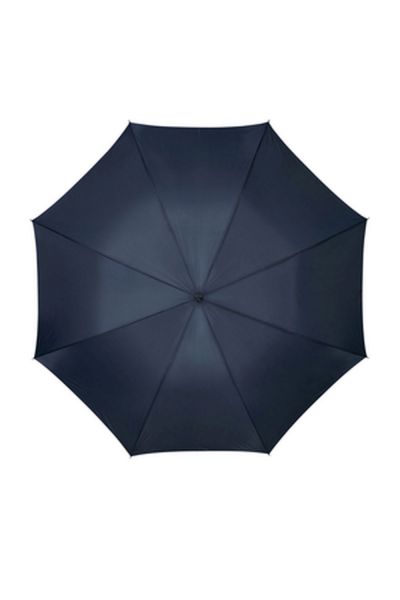 Samsonite Rain Pro Stick Umbrella Blue #2