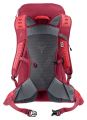 Deuter AC Lite 24 cherry-masala #3