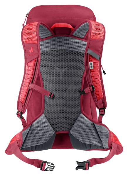 Deuter AC Lite 24 cherry-masala #3
