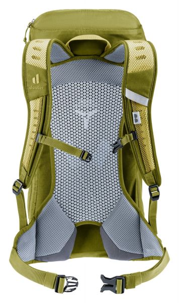 Deuter AC Lite 16 linden-cactus #3