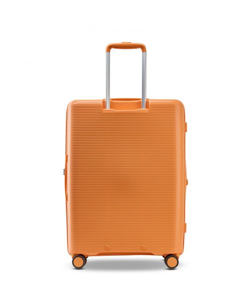 Echolac Forza M check-in Apricot Crush #5