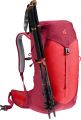 Deuter AC Lite 24 cherry-masala #6
